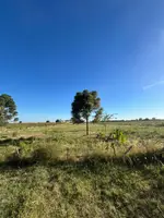 Thumbnail 16